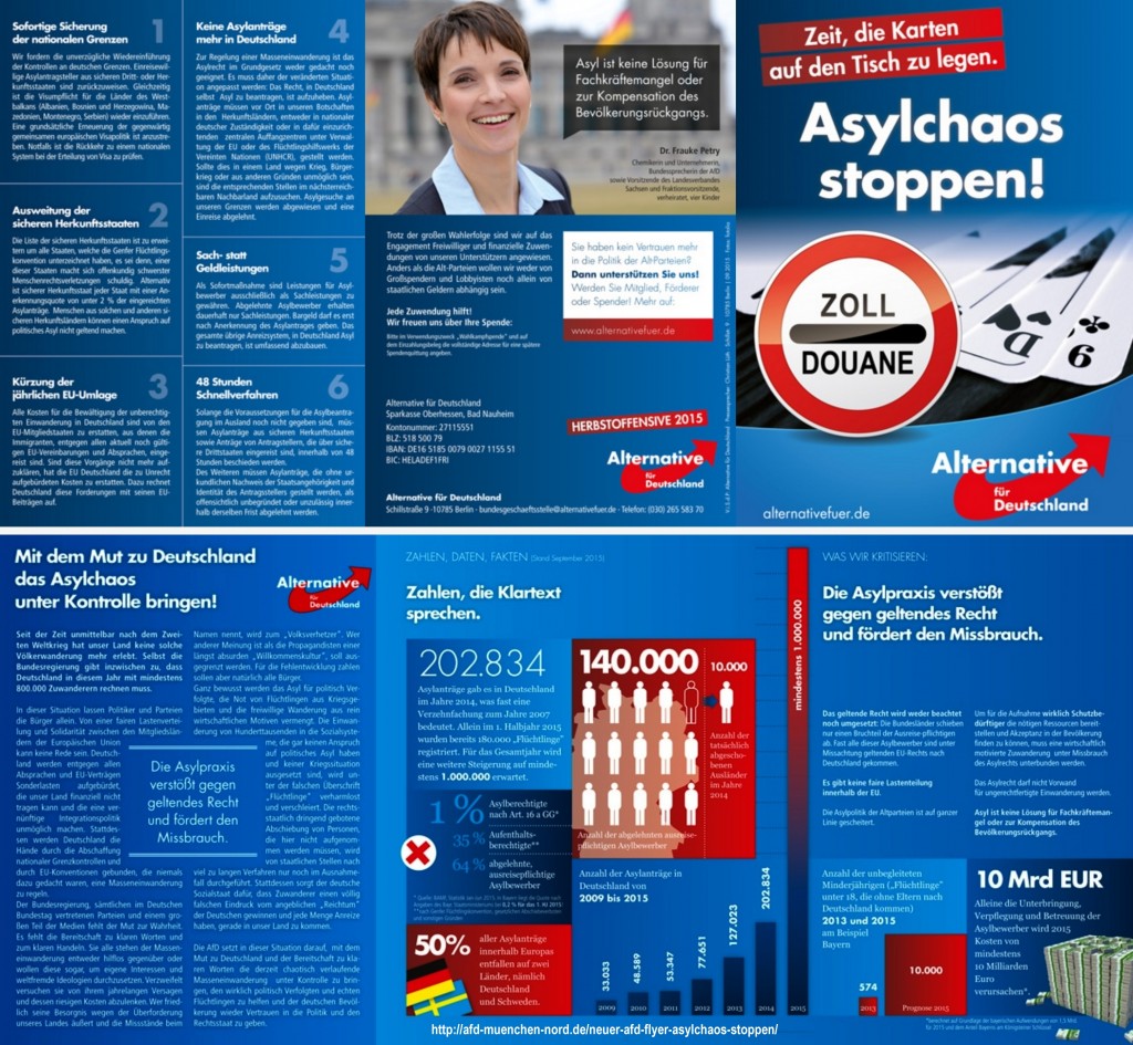 AfD Flyer