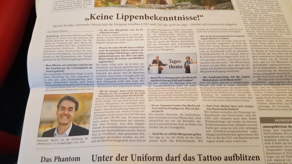 Interview_Rhein-Neckar-Zeitung_Mitsch